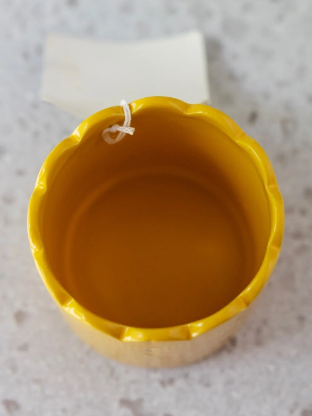 Yellow Scalloped Ceramic Planter Small Flower Pot Flora Bunda NWT